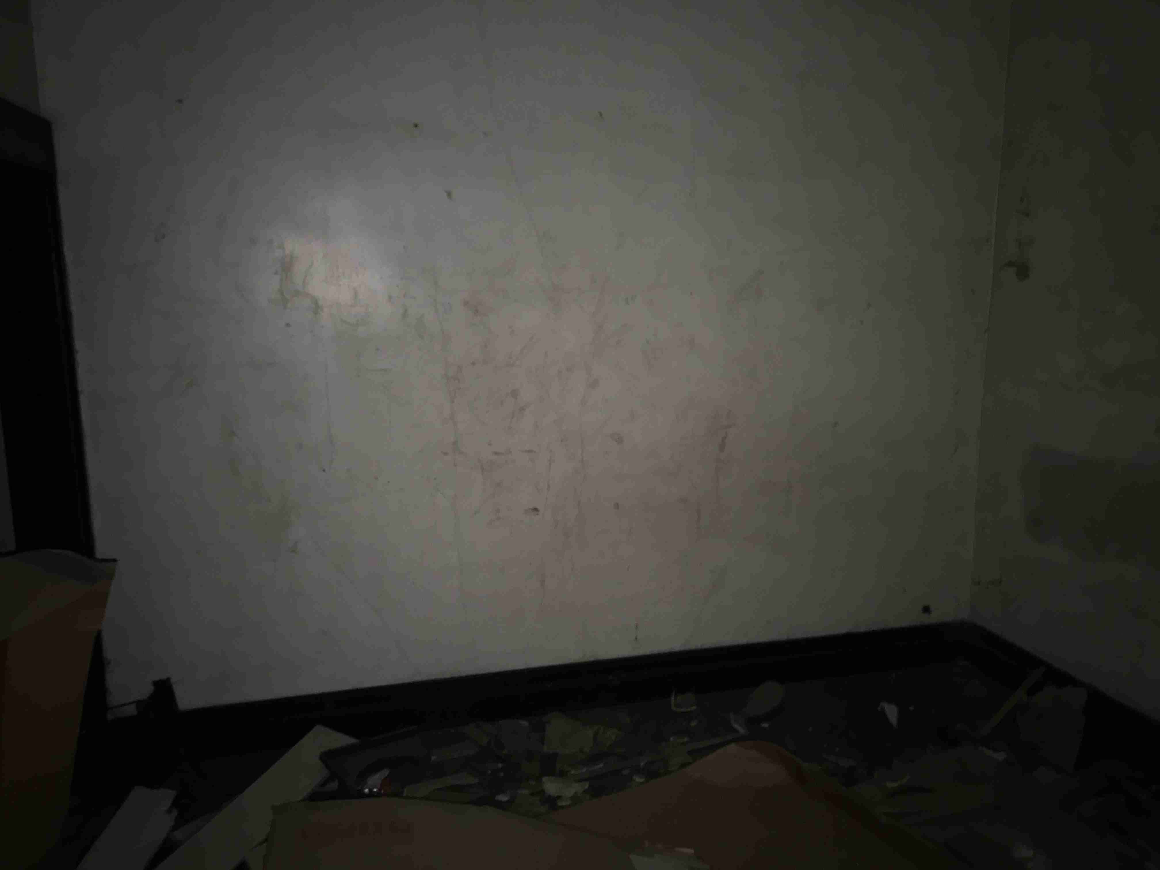 Photo Nov 05, 7 47 33 AM.jpg